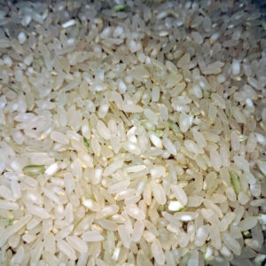 برنج کامفیروزی اعلاء درجه 1: عطر و طعم بی نظیر از قلب فارس